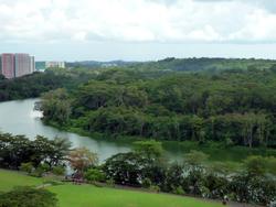 Riversound Residence (D19), Condominium #100938682